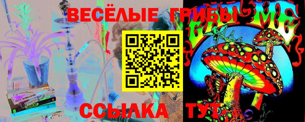 Галлюциногенные грибы прущие грибы Малоярославец