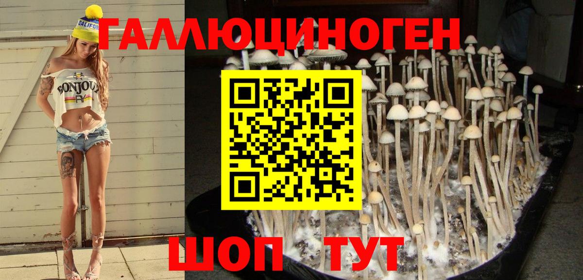 Галлюциногенные грибы мицелий  Вход с VPN  Малоярославец 